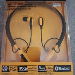 Dewalt Earbuds 