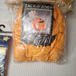 Pumpkin Pooch Costume