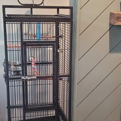Bird Cage And Accessories 