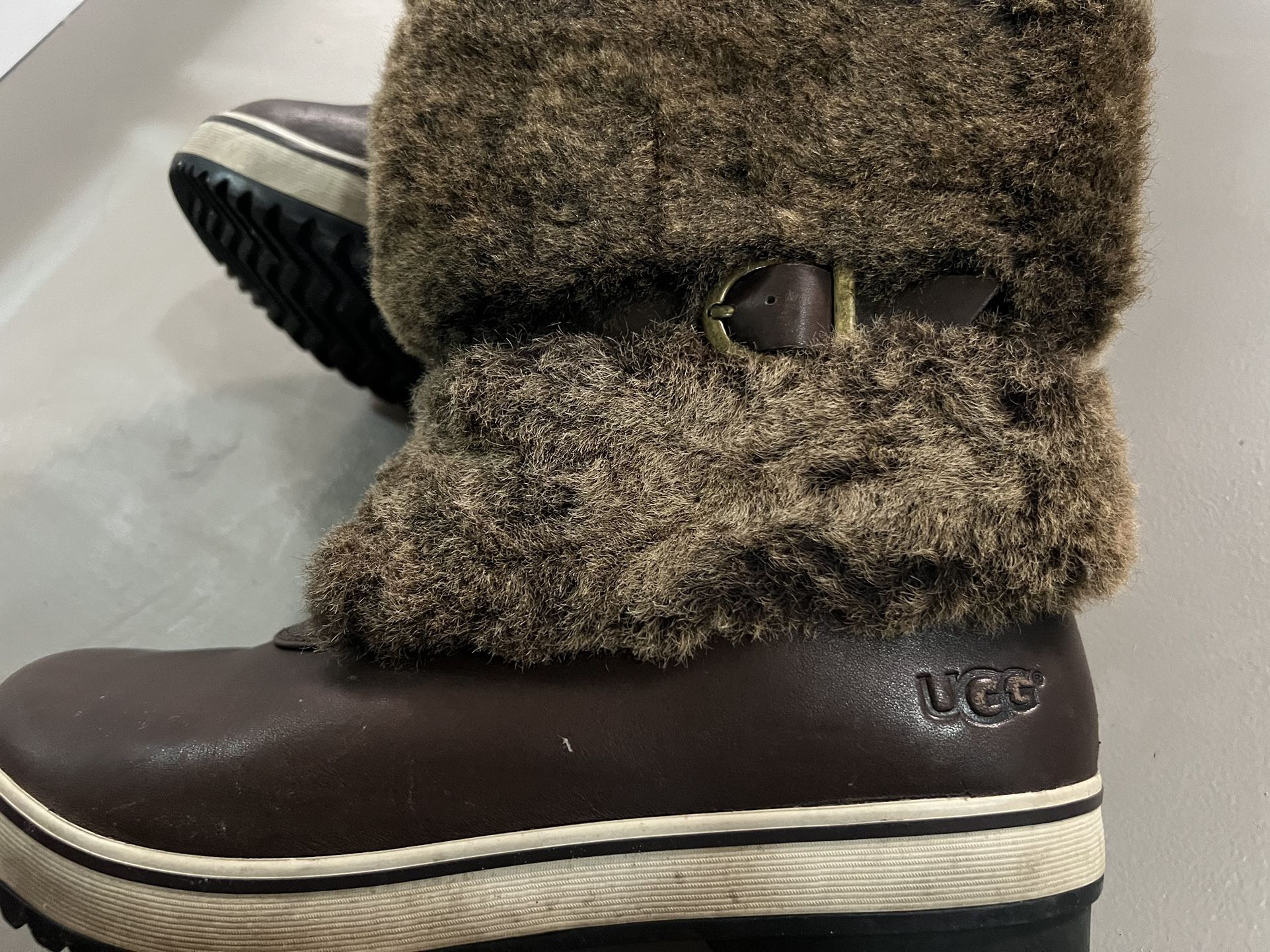 Uggs Boots 