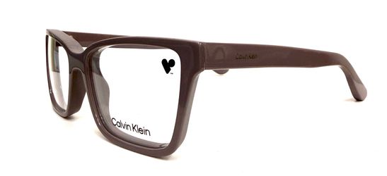 Brand new Calvin Klein Frames with case
