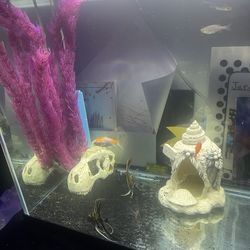 Fish tank decorations