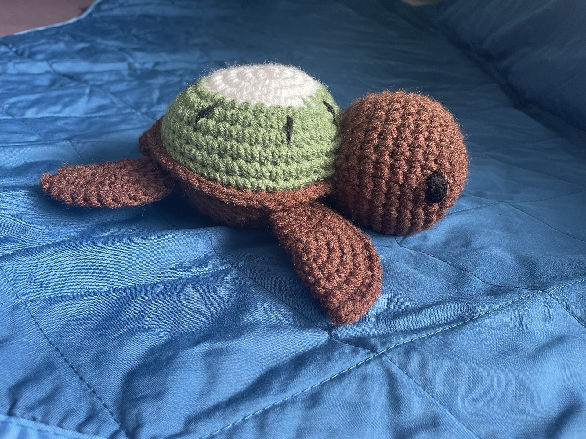 Crochet Kiwi Turtle 🥝
