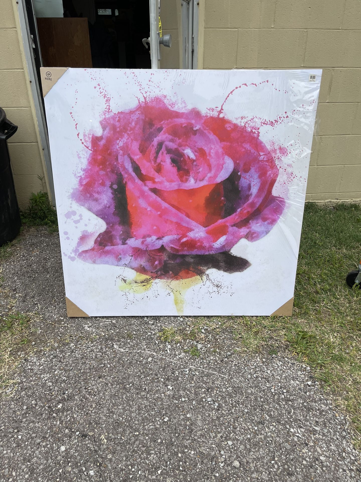 BRAND NEW Rose 36x36 Canvas