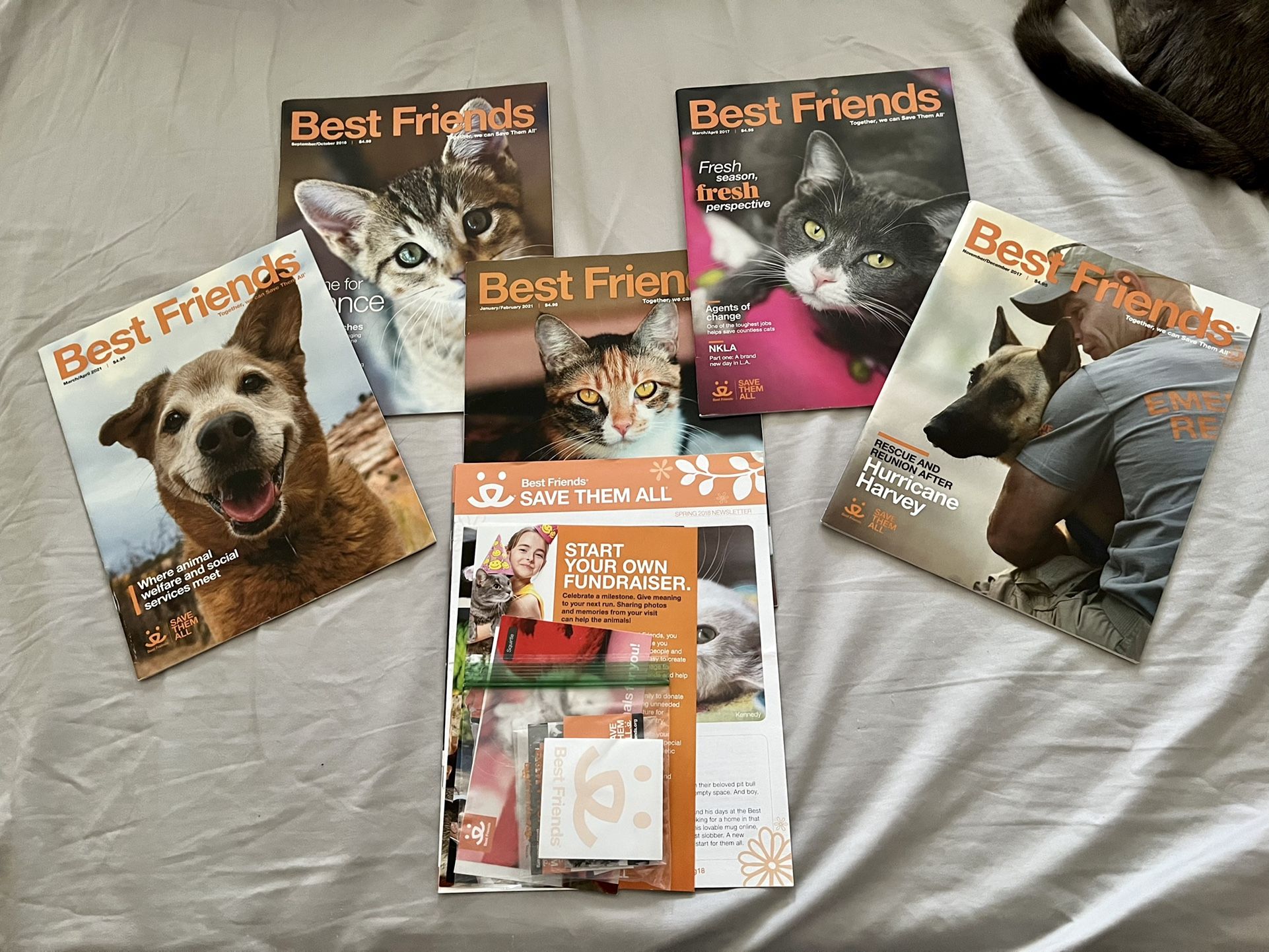 FREE Magazines & Newsletters Animal Welfare/Rights/Vegan