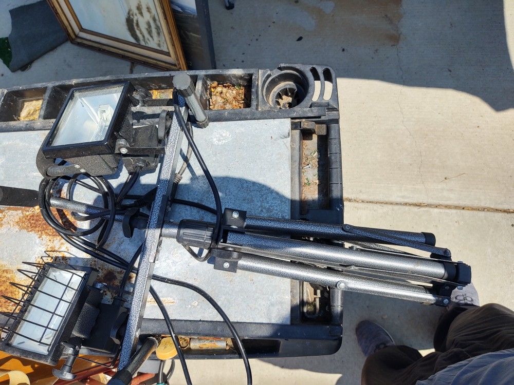 Flood Light With Stan D