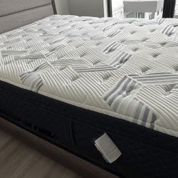 Free Queen Plush Pillowtop Mattress
