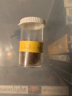 Lock of hair from Michael 1957