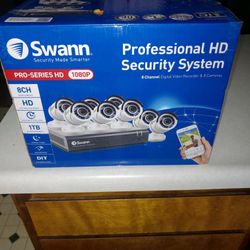 Professional Security System