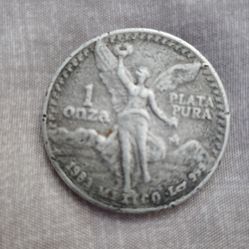 1983 silver coin 1 once