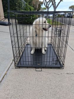 DOG CRATE