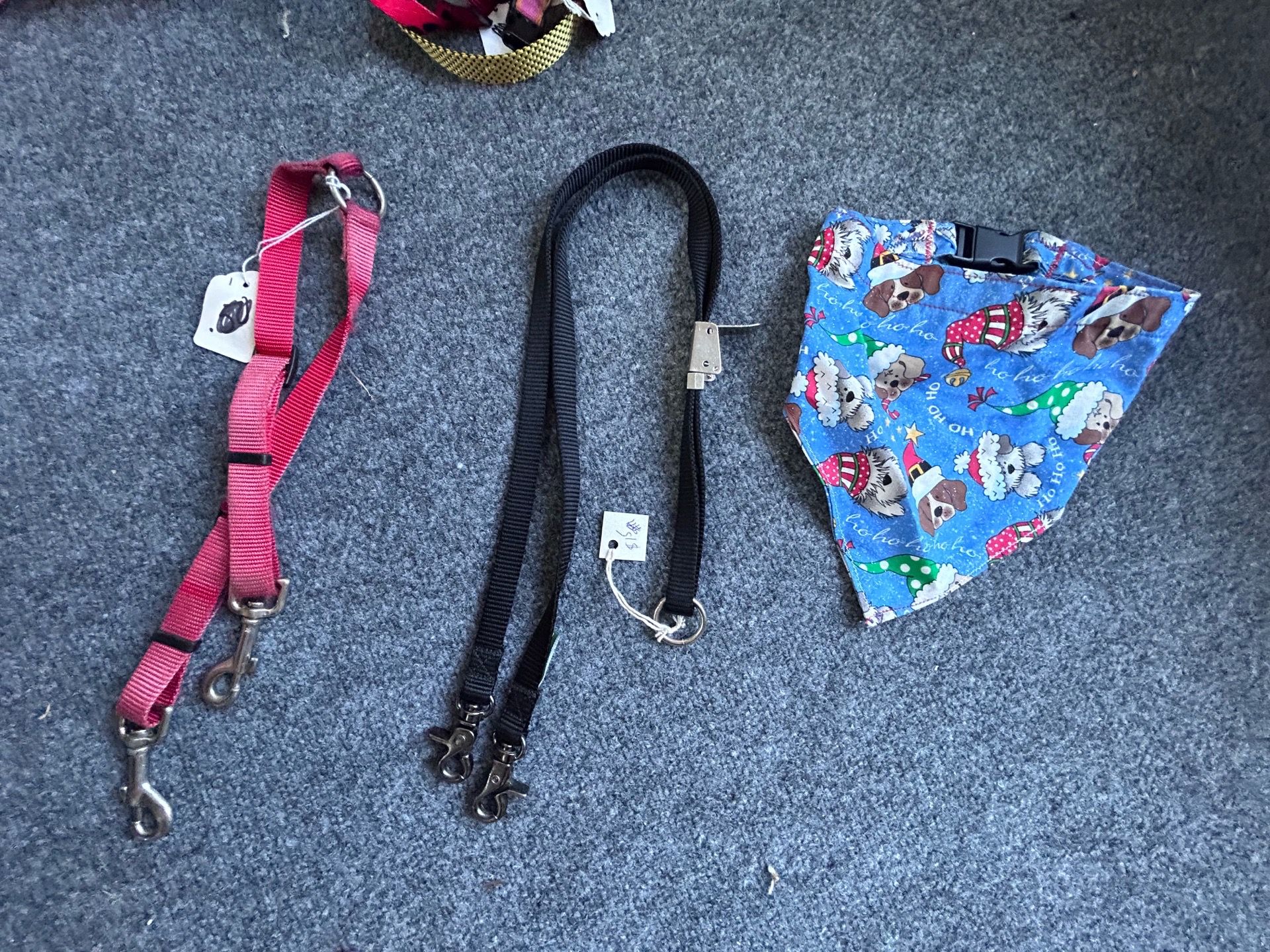 Dog Collars Leashes And Harness some clothes
