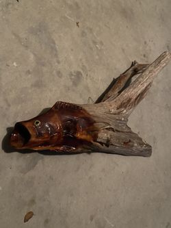 Chainsaw Art Small Mouth Bass Made From Old Cypress Recovered From Suwannee River Bottom