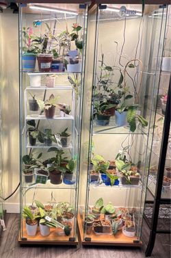 Display  with 3 grow lights moving sale