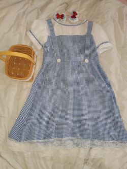 Dorothy wizard of Oz  Halloween costume for a girl