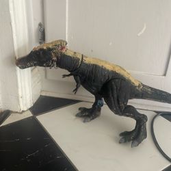 Dinosaur 