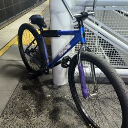 BLU CRUSH READ DESCRIPTION