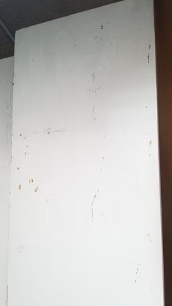 Flat door 79 x 30