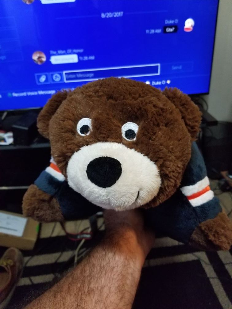 Bears pillow pet