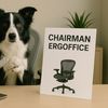 Chairman Ergoffice 