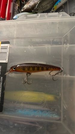 Berkley trout jerkbait