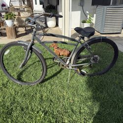 29”in Tire Beach Cruiser