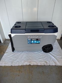Igloo ice chest