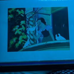 Snow White Disney Photograph