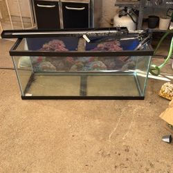 75 Gallon Fish Tank 