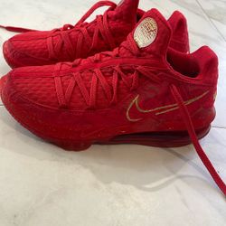 LeBron James Men Size 7