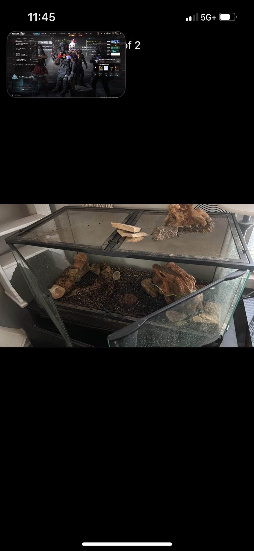 50 Gal Reptile Terrarium