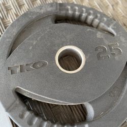two 25 pound Rubber Plates 