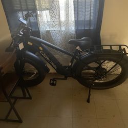 Electric bike