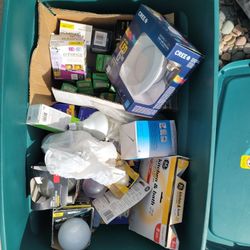 Assorted Light Bulbs and Fixtures