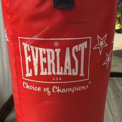 Everlast 25lb Punching Bag 