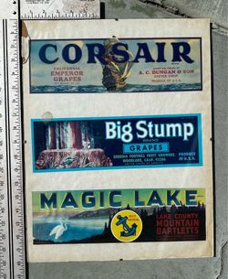 14wx18L Vintage California Fruit Crate Labels Framed Art