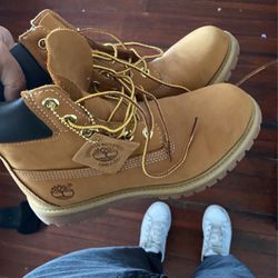 Timberland Boots(BRAND NEW)