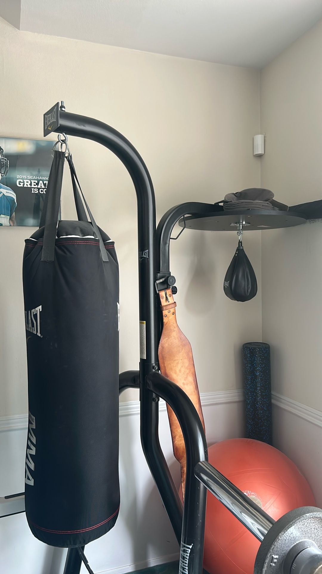 Everlast MMA Punching And Speed Bag