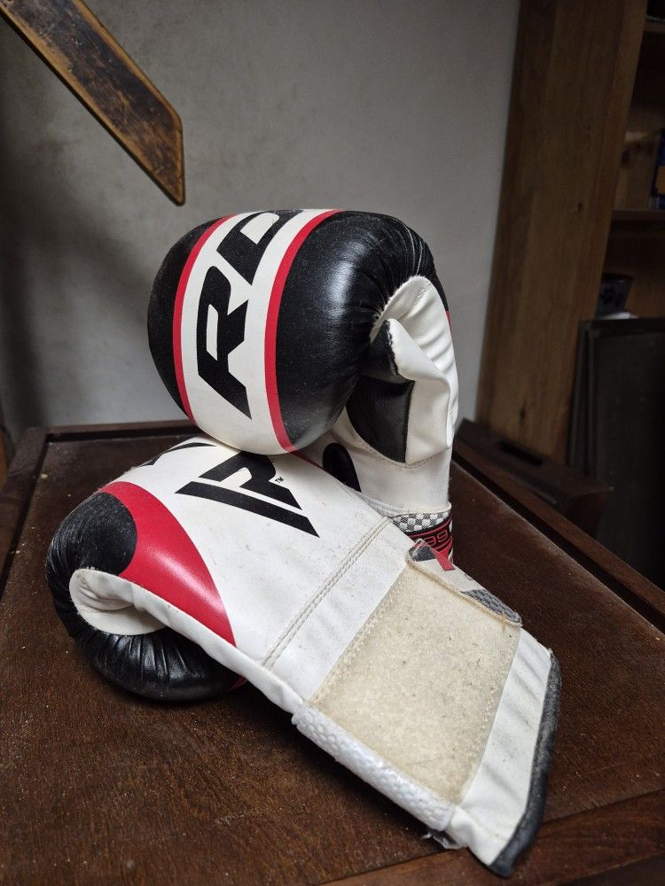 Punching Bag And Gloves 