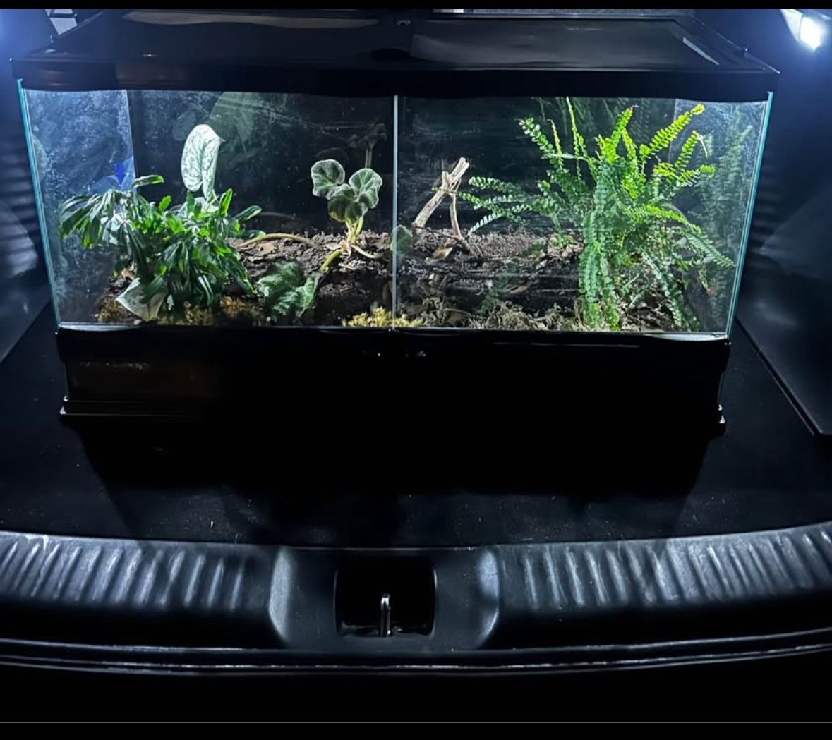 25 Gallon Tank
