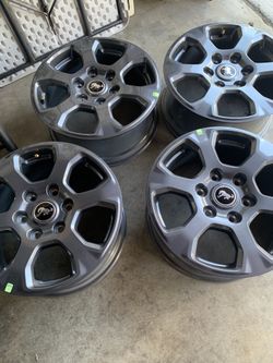 Ford Bronco Rims