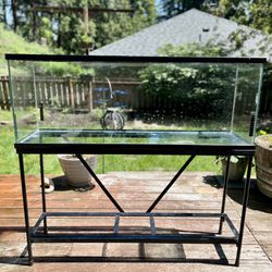 55 Gallon Fish Tank, Stand And Accessories 