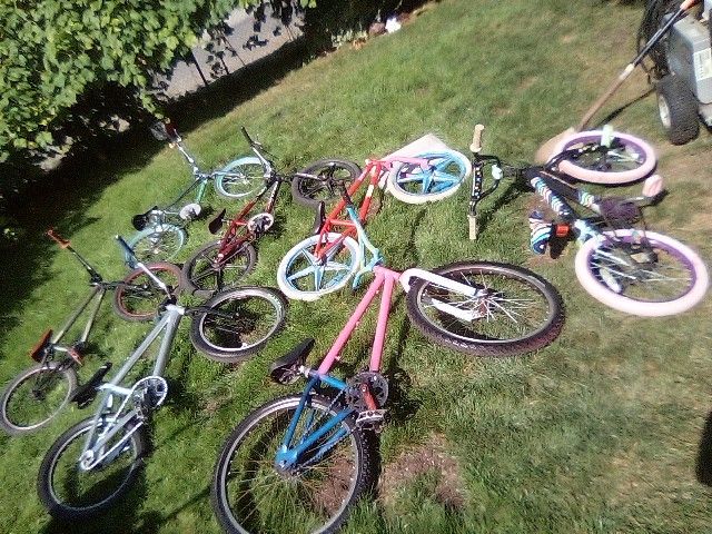 Selling My Bmx Collection