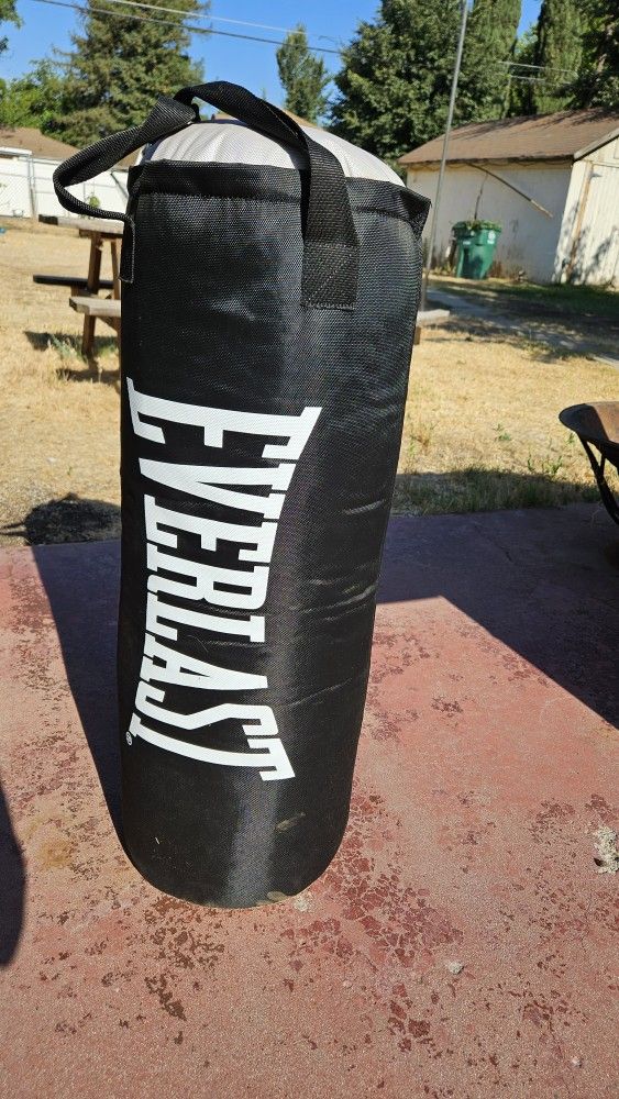 Punching Bag
