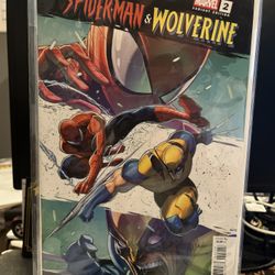 SPIDER-MAN & WOLVERINE #2-IBAN COELLO VARIANT[1:25]
