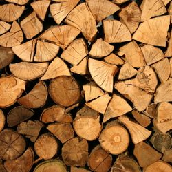 Selling Fire Wood