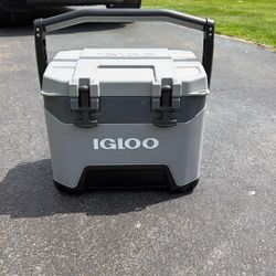 Igloo Cooler