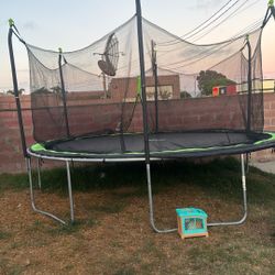 Trampoline 