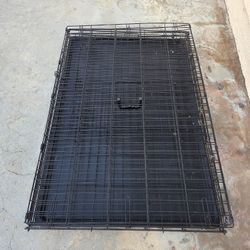 Large Dog Kennel