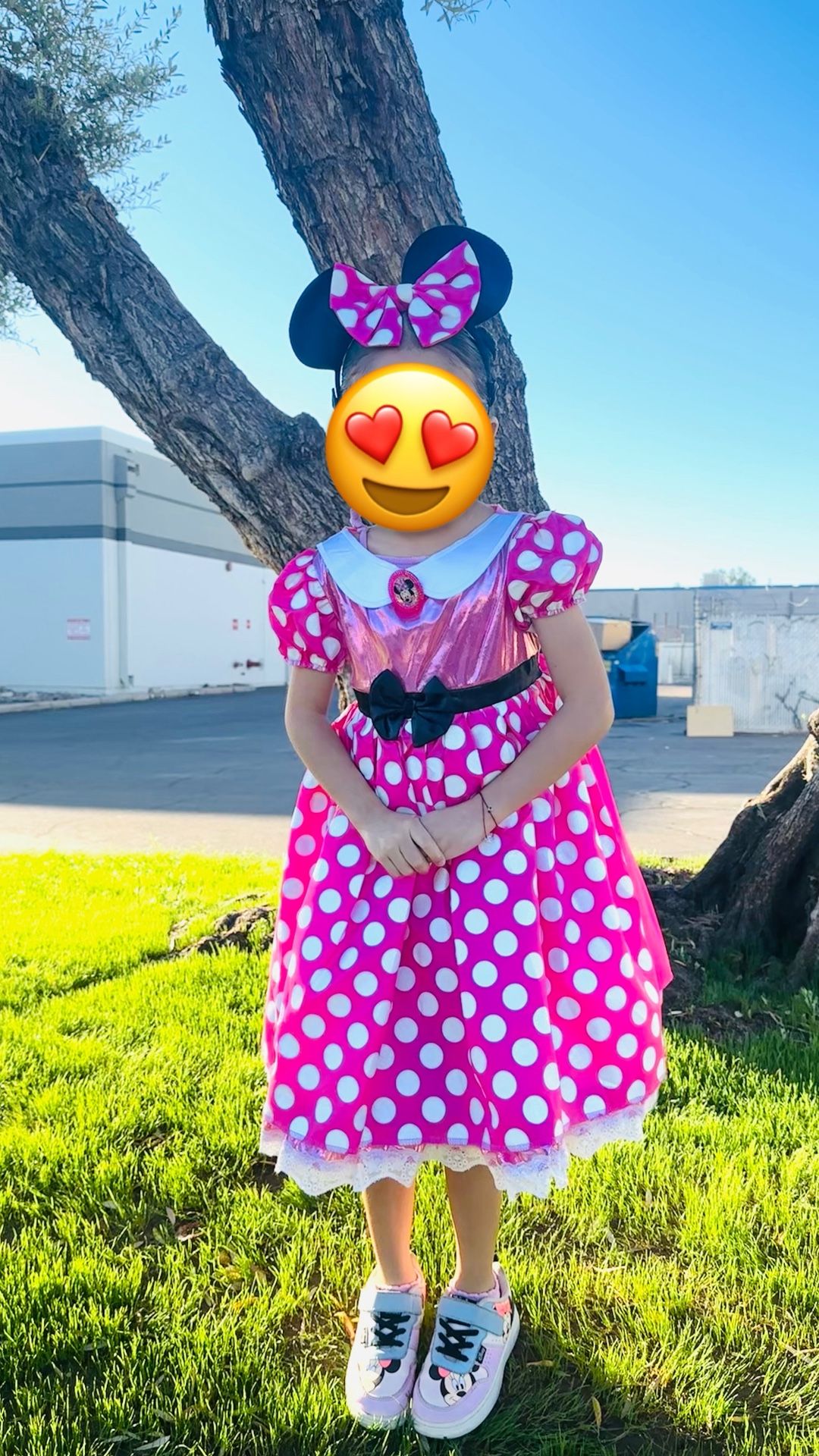 Disfraz /costume Minnie Mouse 